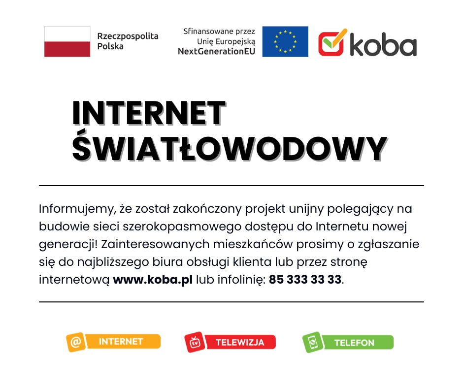 Infografika Internet Światłowodowy 3